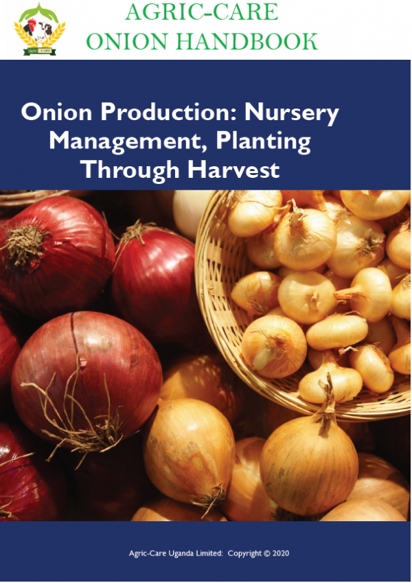 Onion Production Handbook