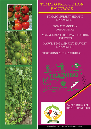 Commercial Tomato Production